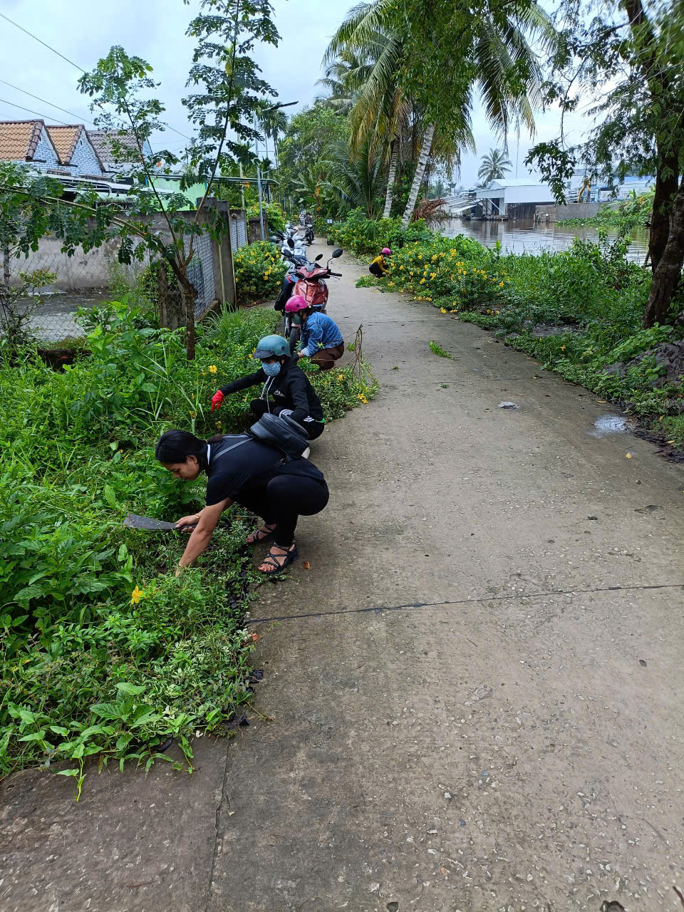 Trường Mầm non Mỹ Thuận trồng hoa tuyến đường kiểu mẫu nông thông mới